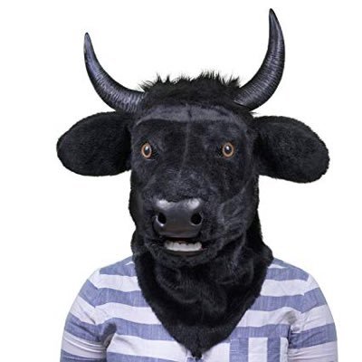 chainlink bull