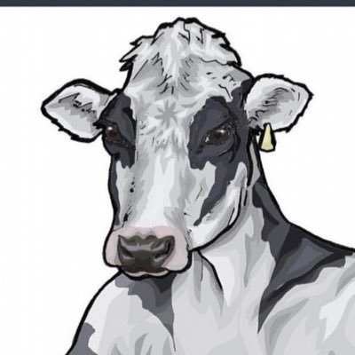 crypto cow